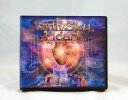 Earth Sky / Living in the Heart Workshop DVD