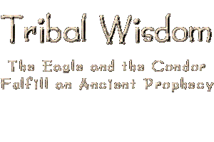 TRIBAL WISDOM: The Eagle and the Condor fulfill an ancient prophecy.