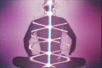 Human Chakras